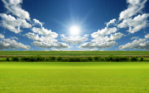 Sun Rise Windows Theme Wallpaper