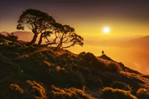 Sun Shining Over Terrains Wallpaper