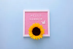 Sunflower Aesthetic Pink Frame Wallpaper