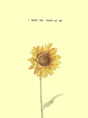 Sunflower Pastel Yellow Aesthetic Wallpaper