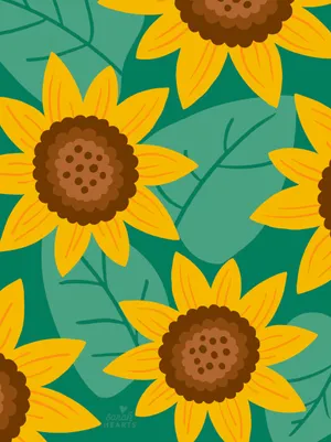 Sunflowers On A Green Background Wallpaper