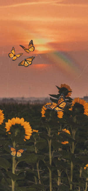 Sunflowers With Butterflies At Sunset.jpg Wallpaper