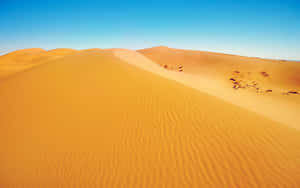 Sunny Desert Sand Wallpaper