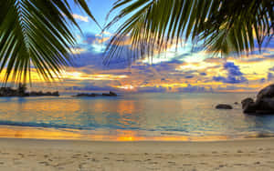 Sunny Tropical Beach Wallpaper