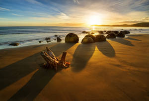 Sunrise By The Beach In New Zealand Wallpaper