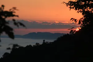 Sunrise View In Branches Wallpaper