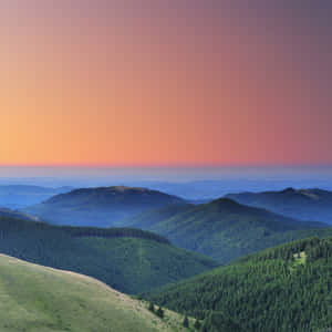 Sunset And Nature Ipad Wallpaper