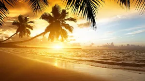 Sunset On The Beach Wallpaper