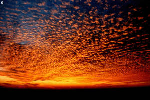Sunset Sky Wallpaper