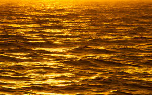 Sunset Waves Golden Theme Wallpaper