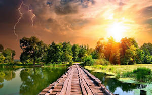 Sunshine Bridge Forest Wallpaper