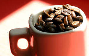 Sunshine Coffee Beans Cup Wallpaper