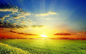 Sunshine Meadow Clouds Wallpaper