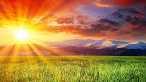 Sunshine Mountains Grass Field Wallpaper