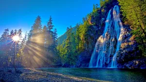 Sunshine Scenery Nature Wallpaper