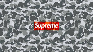 Supreme Brand Logo In Camouflage Wallpaper