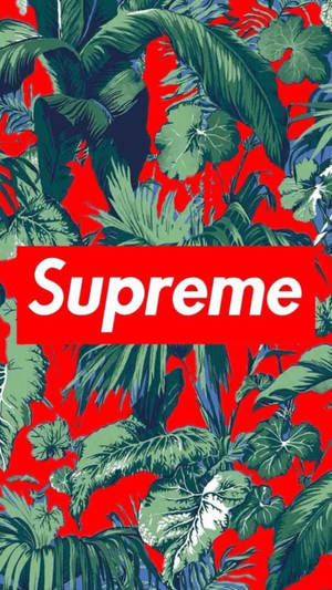 Supreme Logo On Leaves Wallpaper