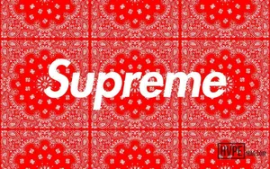 Supreme Logo On Red Mandala Wallpaper