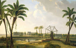 Suriname Town Artwork Wallpaper