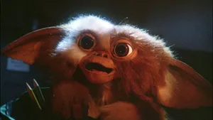 Surprised Gremlins Character Wallpaper
