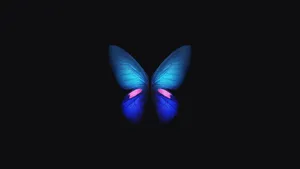 Surrounded By Beauty Wallpaper