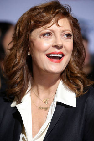 Susan Sarandon Hollywood Celebrity Wallpaper
