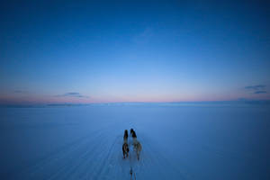 Svalbard Blue Pink Sky Wallpaper