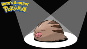 Swinub Spotlight Wallpaper