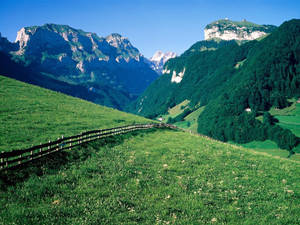 Swiss Alps On Film Wallpaper