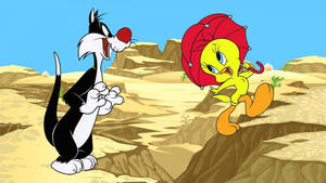 Sylvester And Tweety Wallpaper