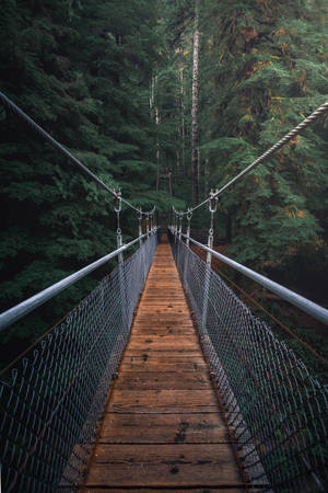 Take A Hike On This Hanging Bridge Wallpaper