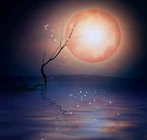 Take A Magical Trip Through The Night Sky Wallpaper