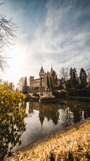 Take A Reflection Of Castle Beauty Wallpaper