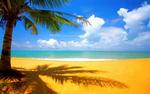 Take A Vacation To Paradise Wallpaper