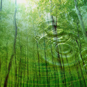 Take In The Beauty Of Mother Nature Wallpaper