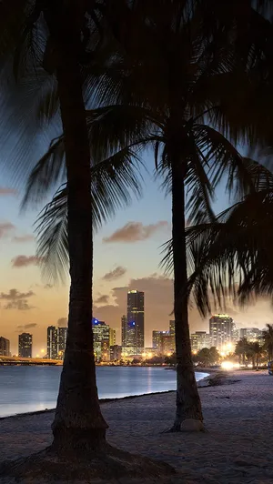 Take In The California Summer Vibes With This Scenic Landscape. Wallpaper