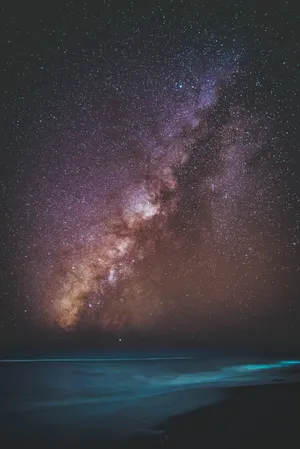 Take In The Majesty Of Nature Wallpaper