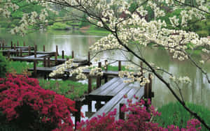 Take In The Serene Beauty Of Nature. Wallpaper