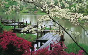 Take In The Serene Beauty Of Nature. Wallpaper