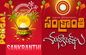Tamil Script Happy Pongal Wallpaper