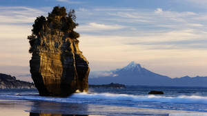 Taranaki Beach In New Zealand Wallpaper