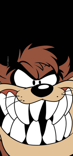 Tasmanian Devil Taz Looney Tunes Wallpaper