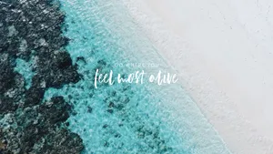 Teal Beach Desktop Wallpaper