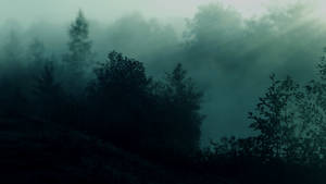 Teal Hd Dark Forest Wallpaper