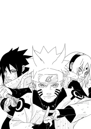 Team 7 Black And White Wallpaper