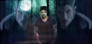 Teen Wolf Werewolf Scott Mccall Wallpaper