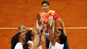 Tennis Star David Ferrer Celebrating Victory Wallpaper