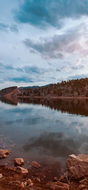 Texas Iphone Nature Forest Lake Wallpaper