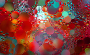 Textured Abstract Colorful Spots Wallpaper