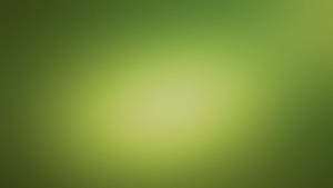 Textured Light Green Wallpaper